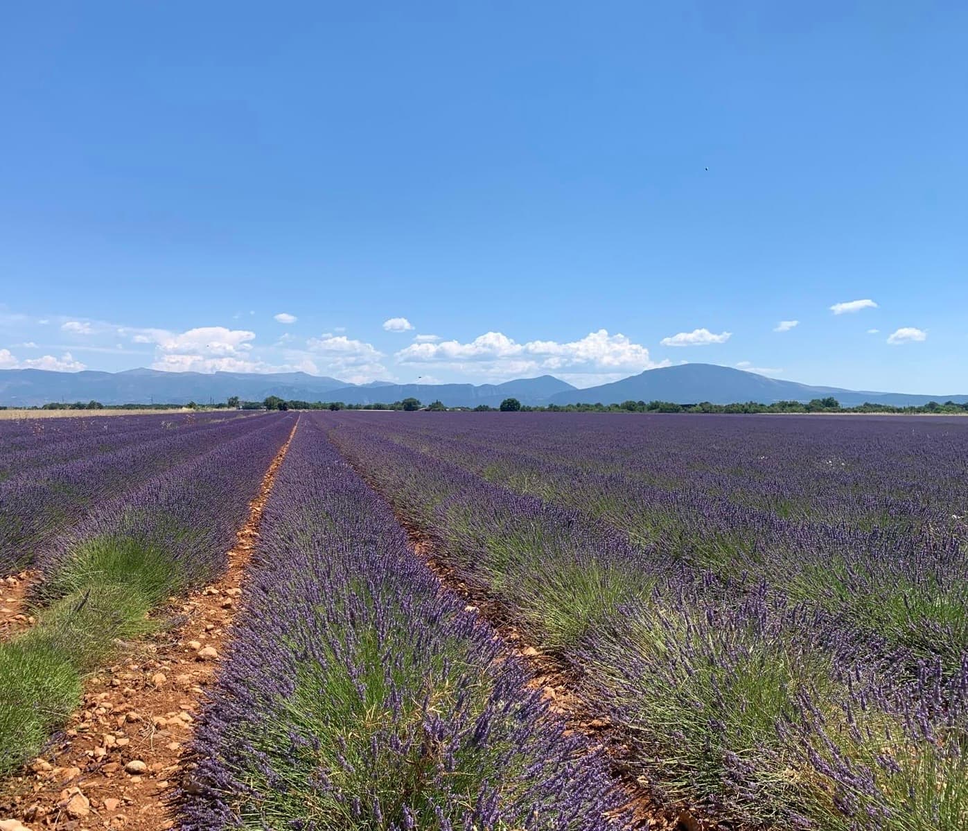 Valensole Plateau, MoustiersāSainteāMarie & Verdon Gorge
